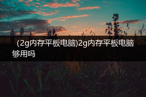 （2g内存平板电脑)2g内存平板电脑够用吗
