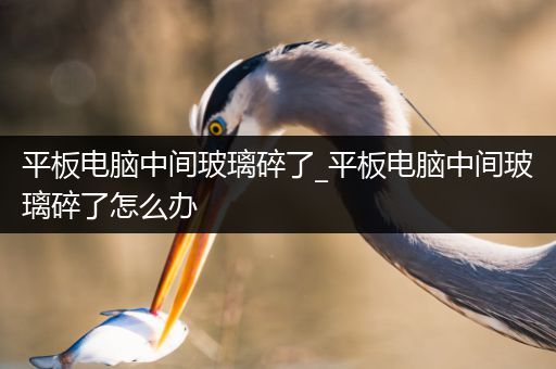 平板电脑中间玻璃碎了_平板电脑中间玻璃碎了怎么办