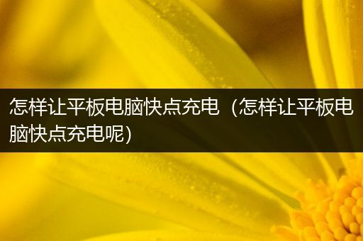 怎样让平板电脑快点充电（怎样让平板电脑快点充电呢）