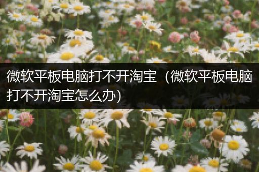 微软平板电脑打不开淘宝（微软平板电脑打不开淘宝怎么办）