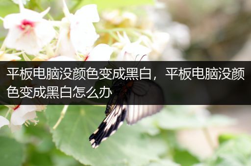 平板电脑没颜色变成黑白，平板电脑没颜色变成黑白怎么办
