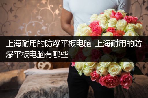 上海耐用的防爆平板电脑-上海耐用的防爆平板电脑有哪些