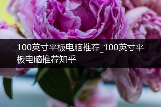 100英寸平板电脑推荐_100英寸平板电脑推荐知乎