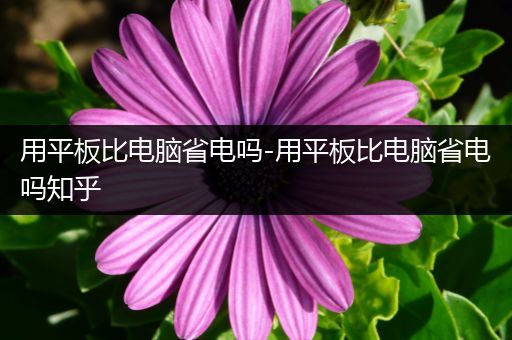 用平板比电脑省电吗-用平板比电脑省电吗知乎