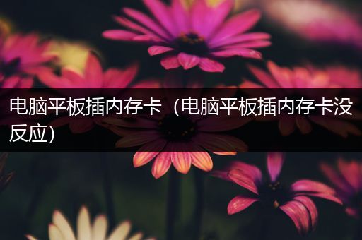 电脑平板插内存卡（电脑平板插内存卡没反应）