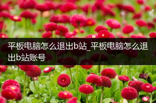 平板电脑怎么退出b站_平板电脑怎么退出b站账号