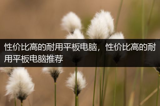 性价比高的耐用平板电脑，性价比高的耐用平板电脑推荐