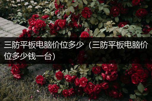 三防平板电脑价位多少（三防平板电脑价位多少钱一台）
