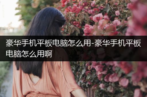 豪华手机平板电脑怎么用-豪华手机平板电脑怎么用啊