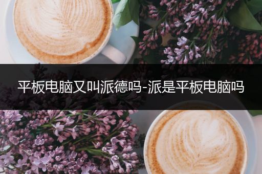 平板电脑又叫派德吗-派是平板电脑吗