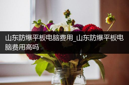 山东防爆平板电脑费用_山东防爆平板电脑费用高吗
