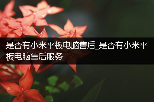 是否有小米平板电脑售后_是否有小米平板电脑售后服务
