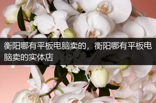 衡阳哪有平板电脑卖的，衡阳哪有平板电脑卖的实体店