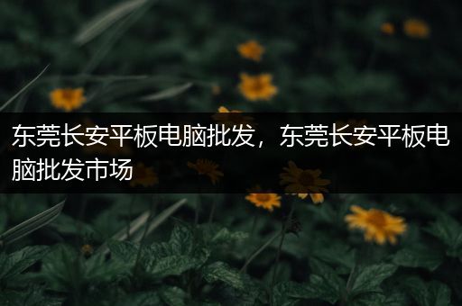 东莞长安平板电脑批发，东莞长安平板电脑批发市场