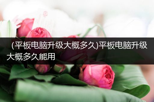 （平板电脑升级大概多久)平板电脑升级大概多久能用