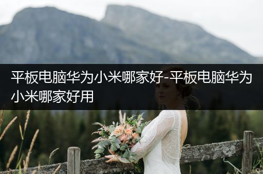 平板电脑华为小米哪家好-平板电脑华为小米哪家好用