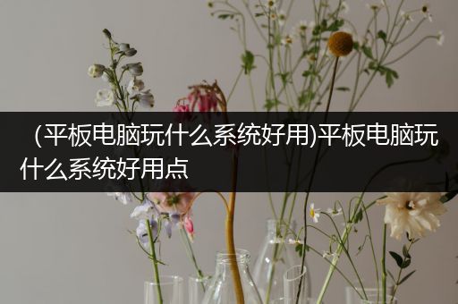 （平板电脑玩什么系统好用)平板电脑玩什么系统好用点