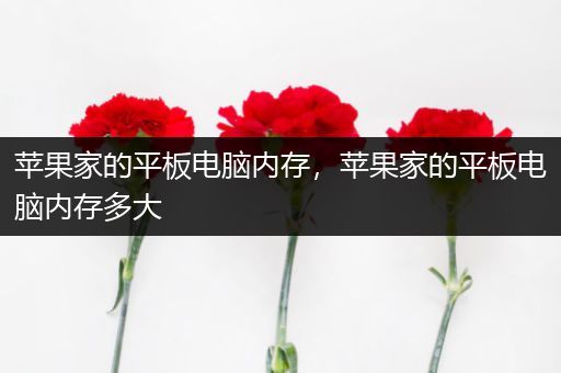 苹果家的平板电脑内存，苹果家的平板电脑内存多大