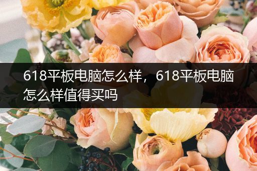 618平板电脑怎么样，618平板电脑怎么样值得买吗