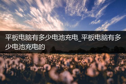 平板电脑有多少电池充电_平板电脑有多少电池充电的