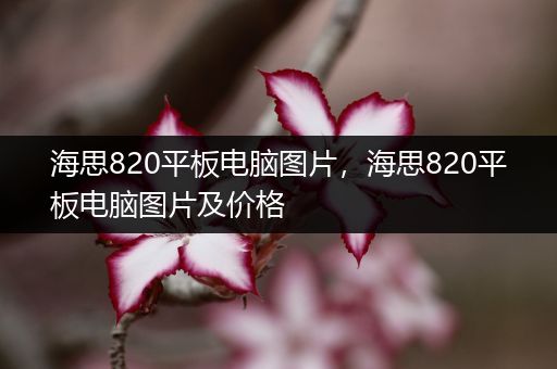 海思820平板电脑图片，海思820平板电脑图片及价格