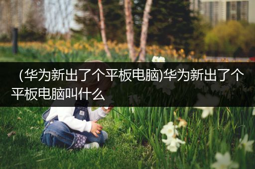 （华为新出了个平板电脑)华为新出了个平板电脑叫什么