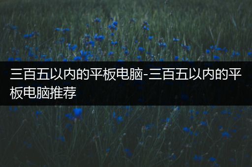 三百五以内的平板电脑-三百五以内的平板电脑推荐
