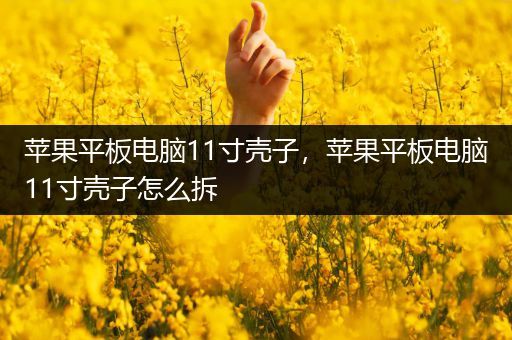 苹果平板电脑11寸壳子，苹果平板电脑11寸壳子怎么拆
