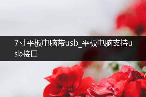 7寸平板电脑带usb_平板电脑支持usb接口