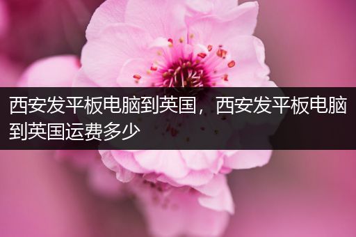 西安发平板电脑到英国，西安发平板电脑到英国运费多少