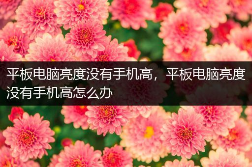 平板电脑亮度没有手机高，平板电脑亮度没有手机高怎么办