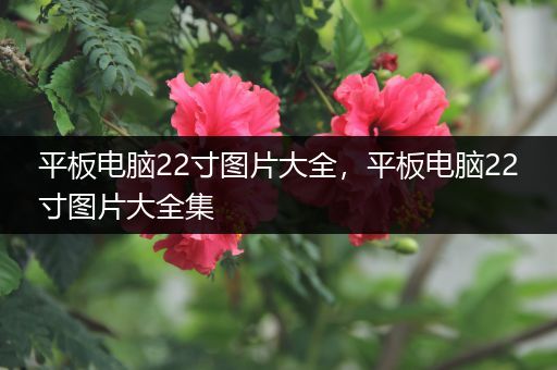 平板电脑22寸图片大全，平板电脑22寸图片大全集