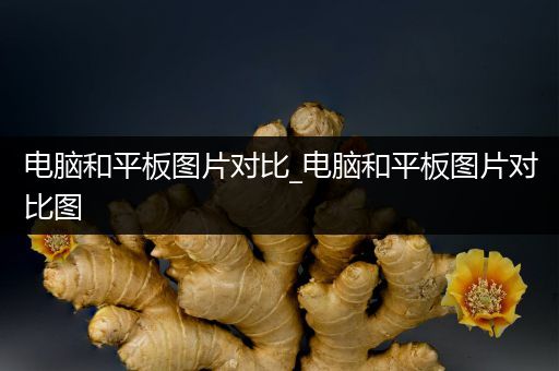电脑和平板图片对比_电脑和平板图片对比图