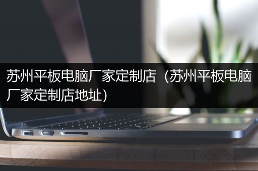 苏州平板电脑厂家定制店（苏州平板电脑厂家定制店地址）