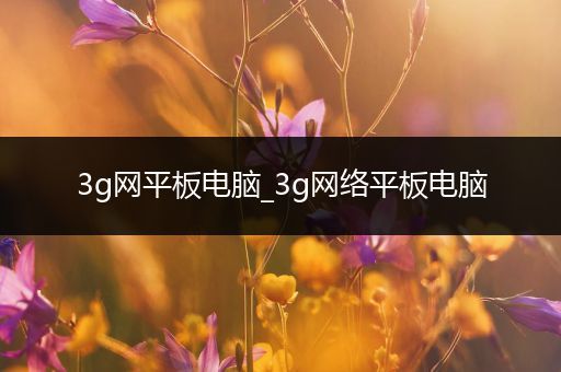 3g网平板电脑_3g网络平板电脑