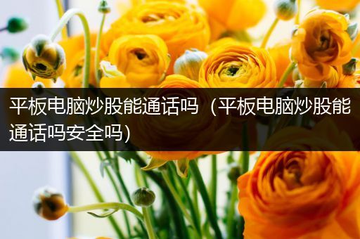 平板电脑炒股能通话吗（平板电脑炒股能通话吗安全吗）