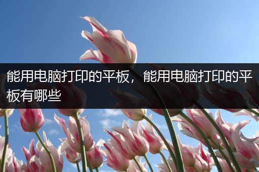 能用电脑打印的平板，能用电脑打印的平板有哪些