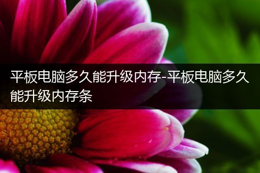 平板电脑多久能升级内存-平板电脑多久能升级内存条