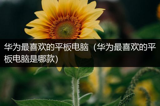华为最喜欢的平板电脑（华为最喜欢的平板电脑是哪款）