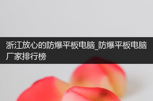浙江放心的防爆平板电脑_防爆平板电脑厂家排行榜