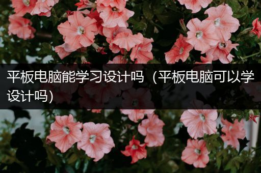 平板电脑能学习设计吗（平板电脑可以学设计吗）