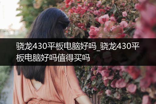骁龙430平板电脑好吗_骁龙430平板电脑好吗值得买吗