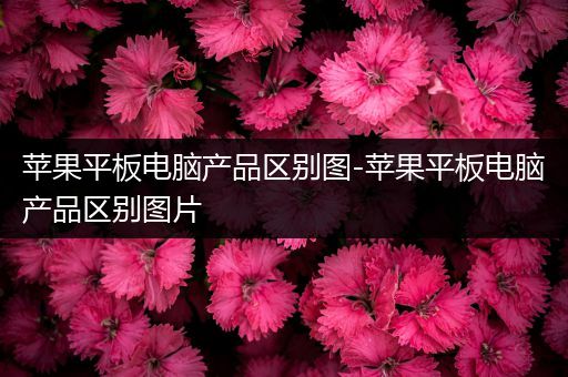 苹果平板电脑产品区别图-苹果平板电脑产品区别图片
