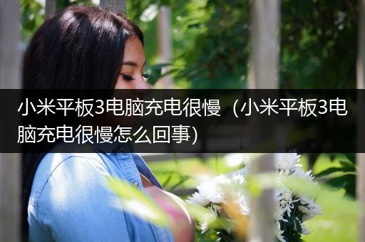 小米平板3电脑充电很慢（小米平板3电脑充电很慢怎么回事）