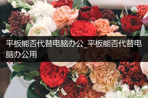 平板能否代替电脑办公_平板能否代替电脑办公用