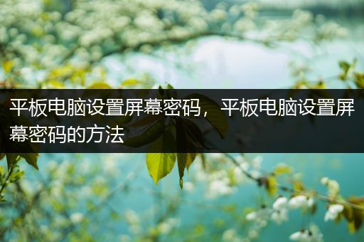 平板电脑设置屏幕密码，平板电脑设置屏幕密码的方法