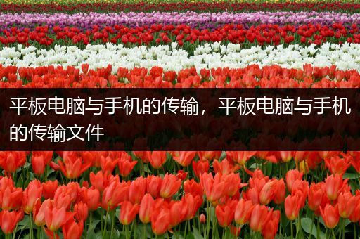 平板电脑与手机的传输，平板电脑与手机的传输文件