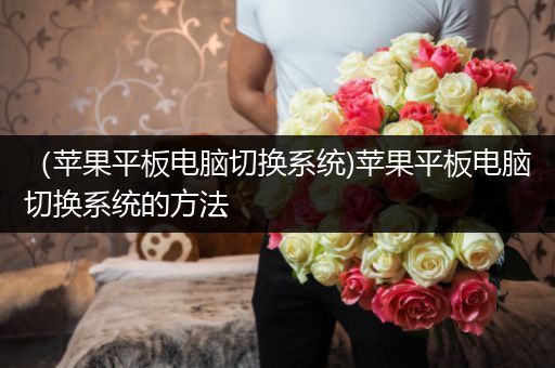 （苹果平板电脑切换系统)苹果平板电脑切换系统的方法