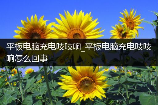 平板电脑充电吱吱响_平板电脑充电吱吱响怎么回事