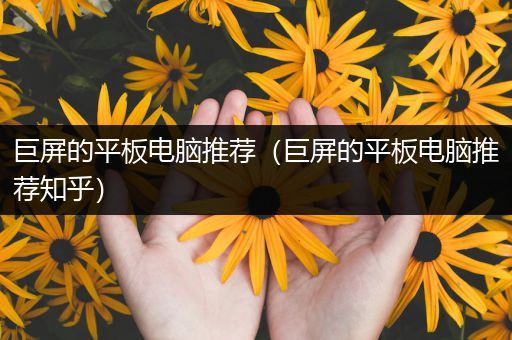 巨屏的平板电脑推荐（巨屏的平板电脑推荐知乎）